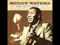 Muddy Waters & Johnny Winter / Good Morning ...