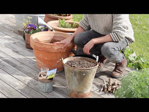 En hel sommaräng i en kruka - Trädgårdshacks med GardenR