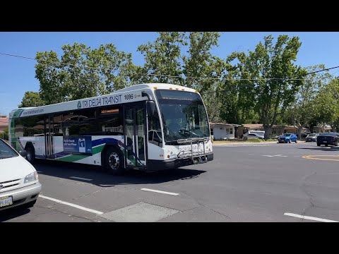 Tri Delta Transit Bus Route 393 EB To Brentwood Passing By My Hometown At O’Hara Ave In 4K