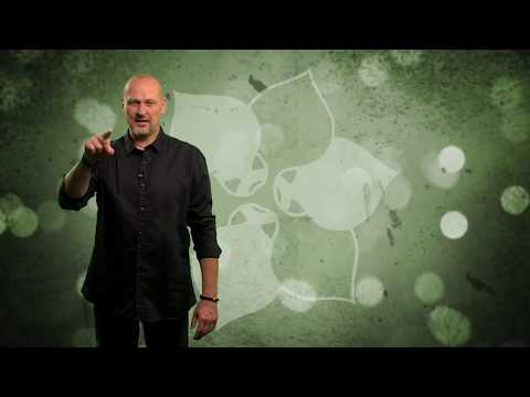 Női kérdések - Férfi válaszok / Hogyan szerethet belém az a férfi akit én akarok