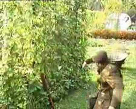 Daniel Landa - Pozdrav z fronty