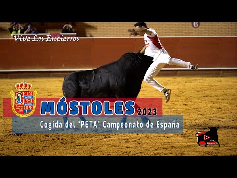 COGIDA del "PETA" en el CAMPEONATO de  ESPAÑA de RECORTADORES #mostoles