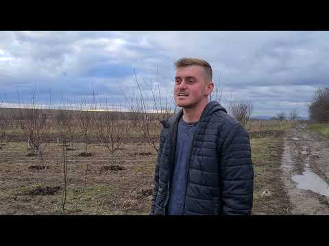 Ograda pruncilor: Un fermier din Bihor își deschide porţile pentru cei curioși de viaţa la ţară