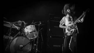 Sumac - Blight's end angel