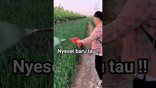 Download lagu Nyesel baru tahu alat semprot tanaman canggih ini #shorts #petanimuda #petanimilenial #petanipintar mp3