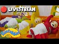 Teletubbies Livestream 24 7 LIVE Stream Shows For Kids
