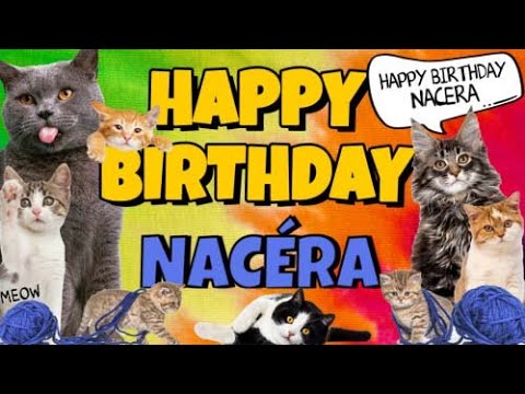 Happy Birthday Nacéra! Crazy Cats Say Happy Birthday Nacéra (Very Funny)