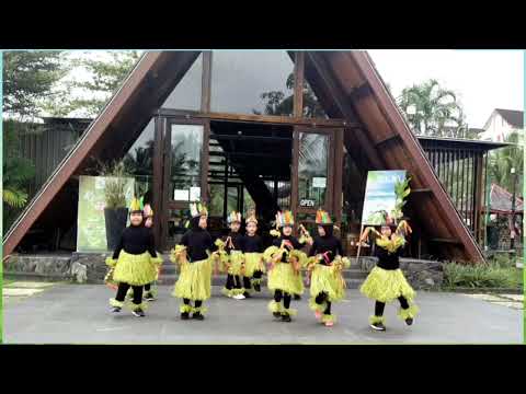 "Tari Papua Yamko Rambe Yamko Al Ihsan"