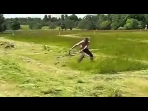 Scythe vs Brushcutter 1 - South West Annual Scythe  - June 2022