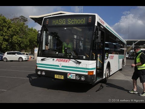 Forest Coach Lines [Terrey Hills] Mercedes-Benz O405NH / Bustech, m/o 8225
