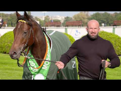 Wielka Warszawska 2020