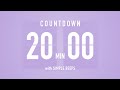 20 Min Countdown Flip Clock Timer / Simple Beeps 🫐 🔔