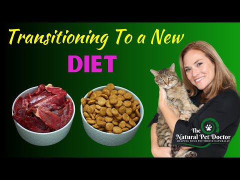 How To Transition Your Pet To A New Diet