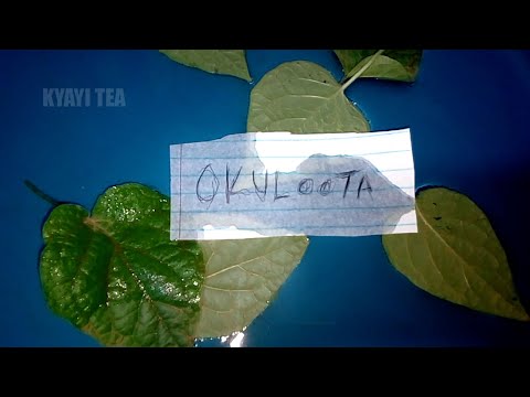 Okuloota Eddagala Lirino