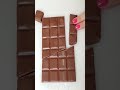 Chocolate Trick Shorts