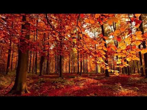 Isaiah’s Apocalypse #27 Pastor Ric Vargas [AUDIO]