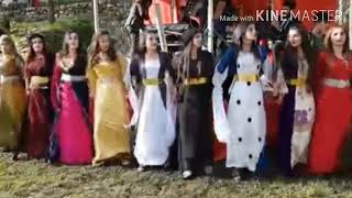 Download lagu Tega cinta nona manis 2020 mp3