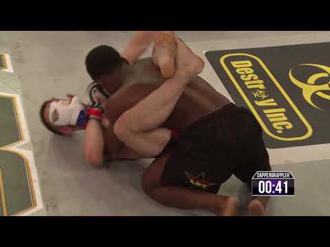 Lion Fighting Championships #LFC14  - Festus Ahorlu  VS William Timmis