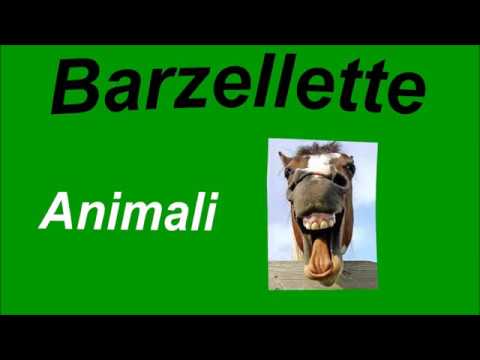 5 Barzellette sugli Animali