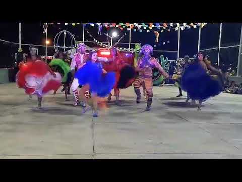 Pot-Pourri: fulo de mandacaru chegou