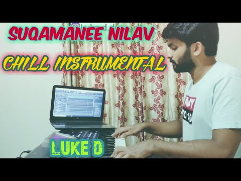 Suqamanee nilav - chill instrumental l Luke D l