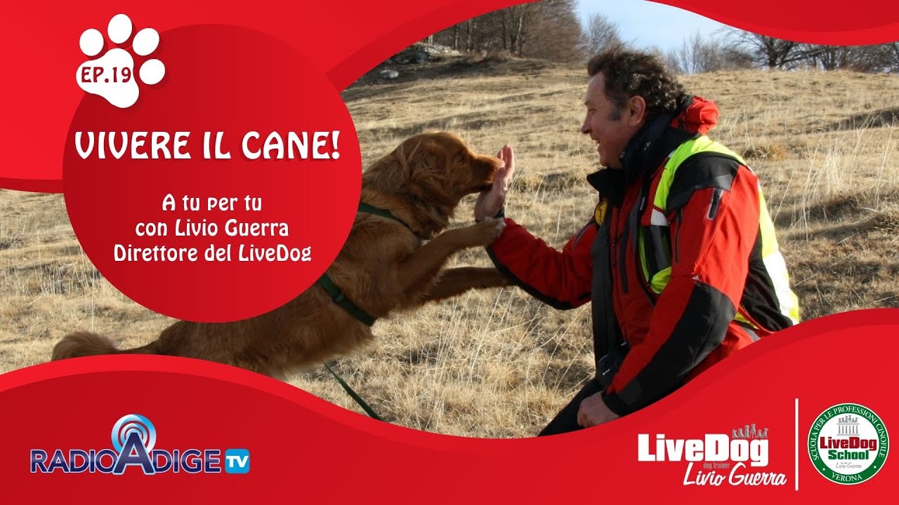 Descrizione dell'immagine