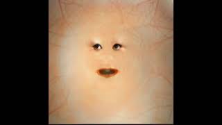 2 de fevereiro de 2026