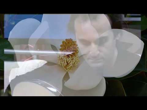 YURDAL TOKCAN - MANOLYA "ARŞİV'den - from the ARCHIVE"