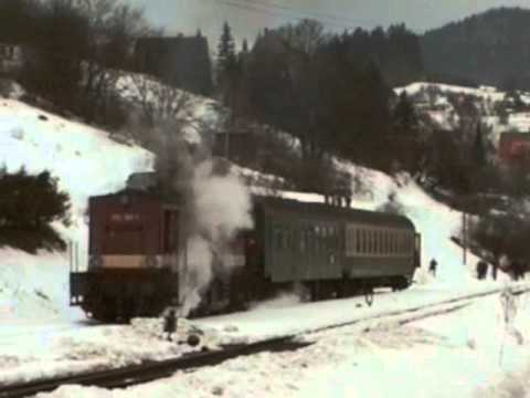 Winterdampf in Thüringen März 1996