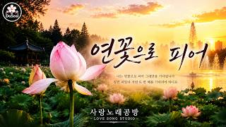 연꽃으로 피어 ✿ | 애잔한 감성 트로트 | 도설 (DoSeol)