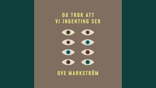 Du tror att vi ingenting ser Music Video