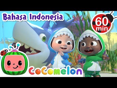 Baby Shark di Kapal Selam | CoComelon Bahasa Indonesia - Lagu Anak Anak | Nursery Rhymes