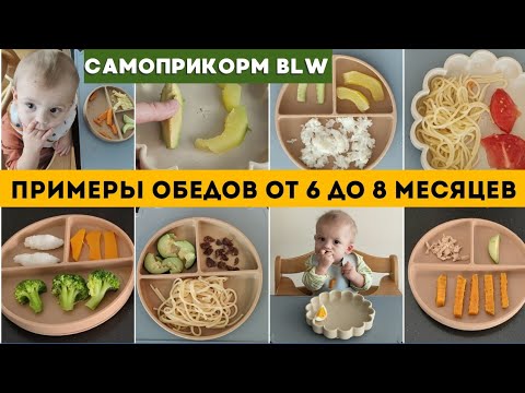 ЧЕМ НАКОРМИТЬ РЕБЕНКА от 6 до 8 месяцев 👶 САМОПРИКОРМ БЛВ 🥦🧅🥑 ПРИМЕРЫ ОБЕДОВ ДЛЯ МАЛЫША