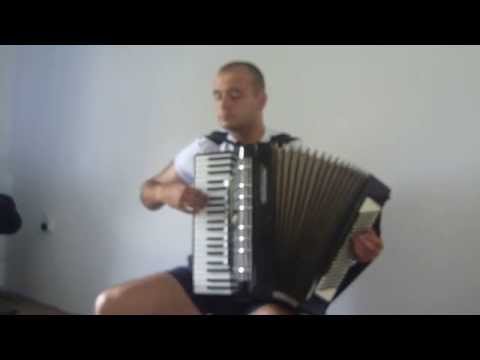 Pukni Zoro  accordion  živkovicsl