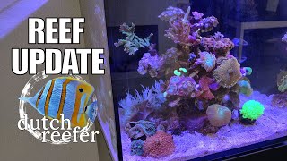 Red sea соль морская coral problems