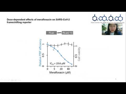 RNA 2022 Yu Sun SARS-CoV-2 frameshifting