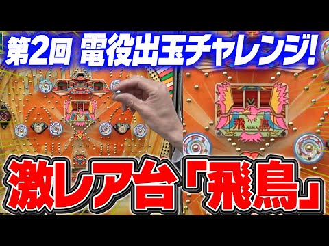 飛鳥の動画