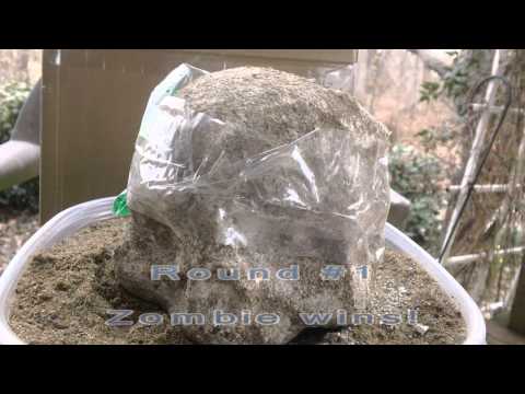 Remington .22 short vs zombie Ballistics skull - Penetration Test