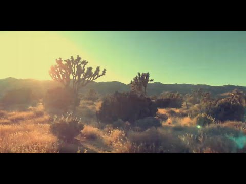 Moondog Uproar - Falling (Official Lyric Video)