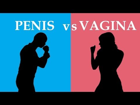 Penis vs Vagina