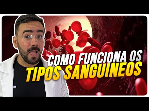 ABO SYSTEM - BLOOD TYPES | LEARN NOW IN AN EASY AND FAST WAY