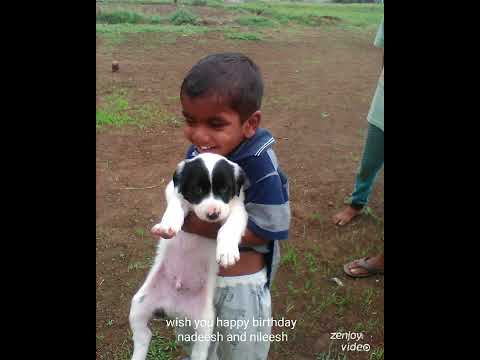 wish you happy birthday nadeesh and nileesh