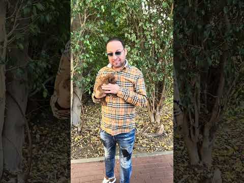 סרטון לקוחות