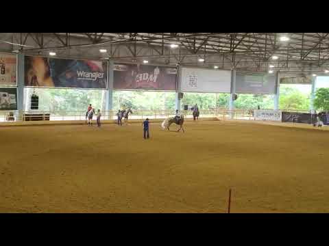 ANTT Barrel Show 2023