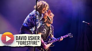 DAVID USHER - Forestfire (2025)