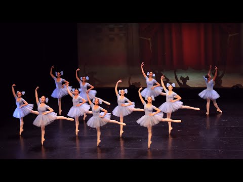 Ballet: Mistake Waltz （芭蕾：错误华尔兹）