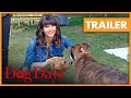 Dog Days trailer | Nu overal verkrijgbaar