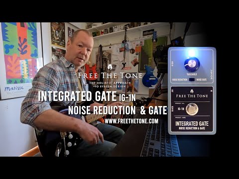 Free The Tone: INTEGRATED GATE IG-1N Noise Reduction & Gate