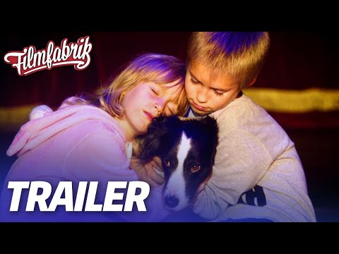 SLAVA THE DOG | Trailer | Die FILMFABRIK