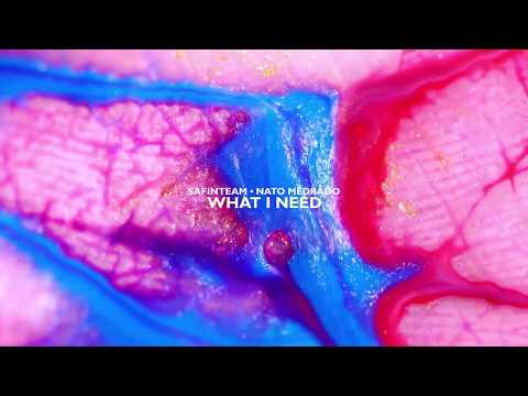 Safinteam, Nato Medrado  - What I Need (Original Mix)